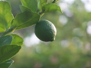 benkristenwedding 055