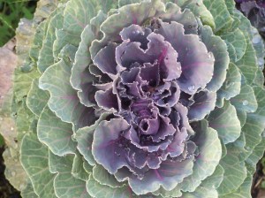 benkristenwedding 054