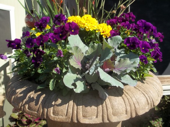 Pumpkin Pics Enchanted Forest 015