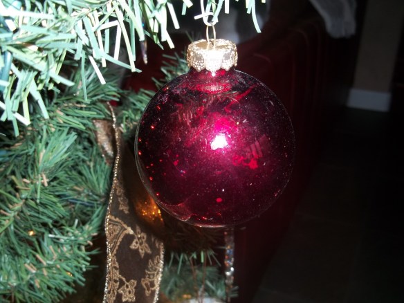 christmastime2011 006