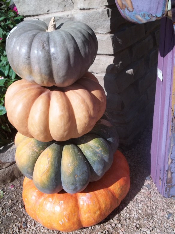 Pumpkin Pics Enchanted Forest 014