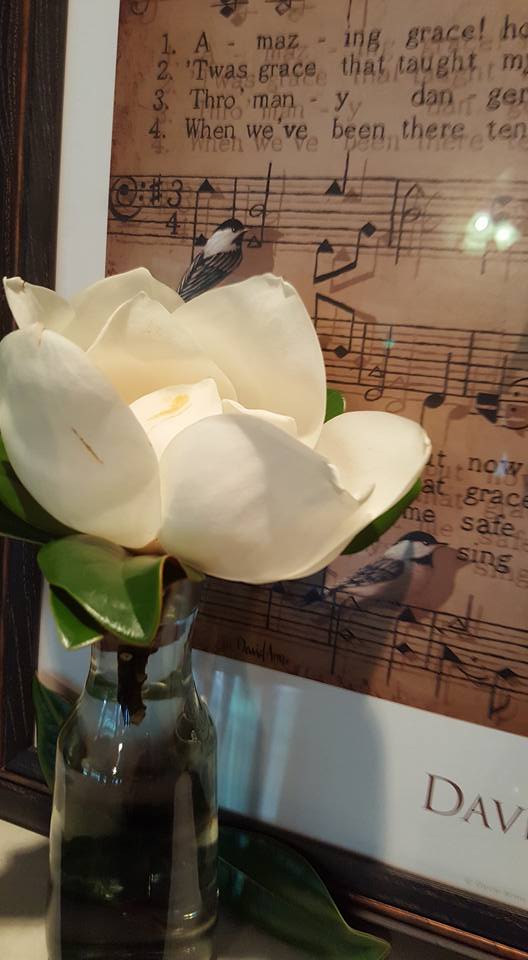 MagnoliaAmazingGrace